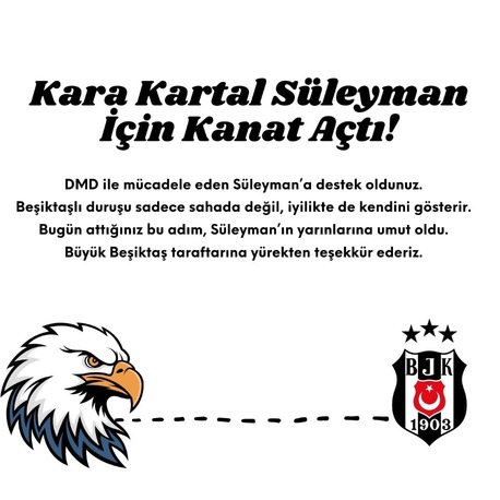 Beşiktaş Destek Kartı