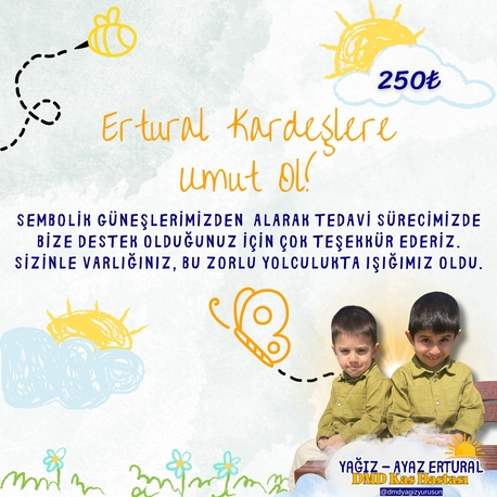 Dijital Destek Kartı