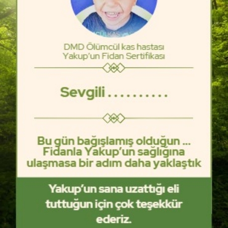 Fidan Sertifikası 