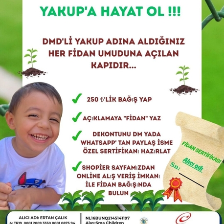 fidan sertifikası 