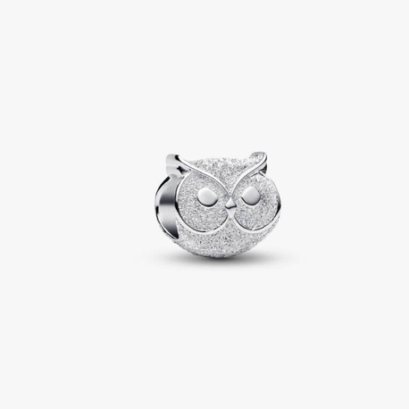 Dokulu Baykuş Mini Charm