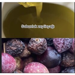 Sabunluk zeytinyağı 1litre..