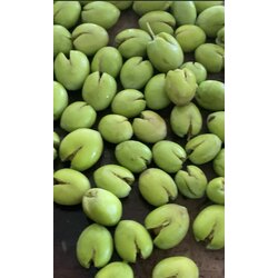 Yeşil Kırma zeytin
