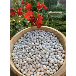 İspir Fasulyesi  1 KG (YENİ MAHSÜL)