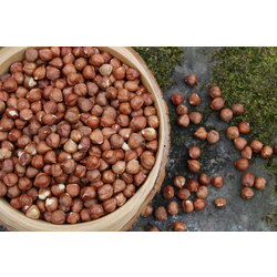 Çiğ Fındık 500 GR Giresun 