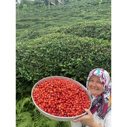 Kızılcık Marmelatı 325 GR (EV YAPIMI)