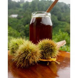 Kestane Balı 1 KG Artvin Macahel