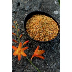Arı Poleni 125  GR