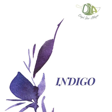 Indigo Temel Eğitim Dosyası