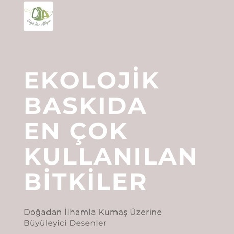 Ecoprint İçin Bitki Seçme Rehberi