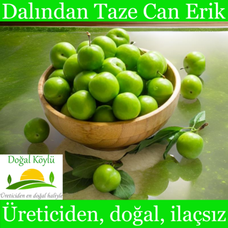 Dalından Taze Can Erik (PAPAZ ERİĞİ) - Üreticiden Doğal, İlaçsız