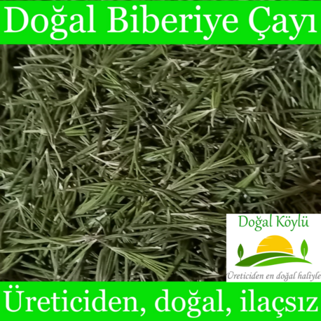 Doğal Biberiye Çayı 50gr - Üreticiden, Kurutulmuş