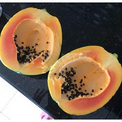 Papaya