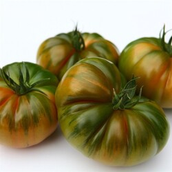 KÖY DOMATESİ 1 KG