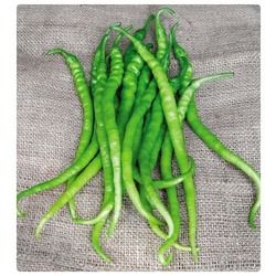 KILÇIK BİBER 1 KG