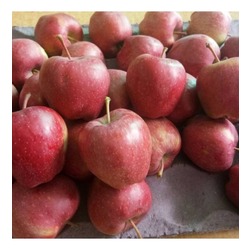 STARKİNG ELMA 1 KG