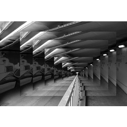Perspective IV