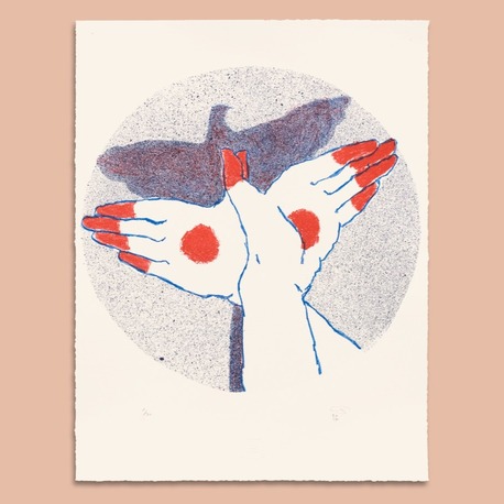 Vardal Caniş, Çalıkuşu| Lithography