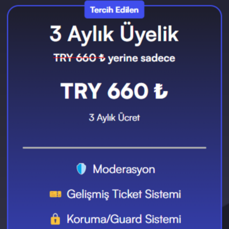 Discord Bot / 3 Aylık