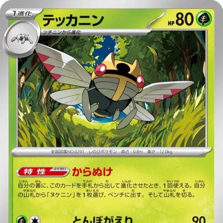 Ninjask