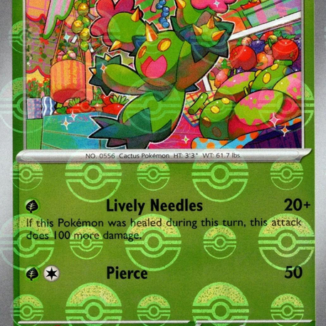 Maractus