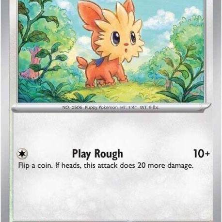 Lillipup
