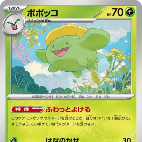 Skiploom