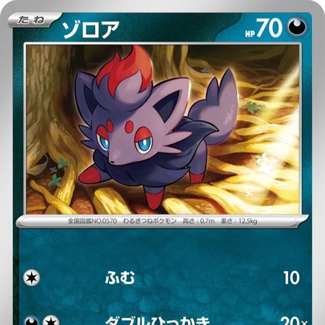 Zorua