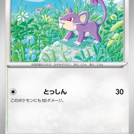 Rattata