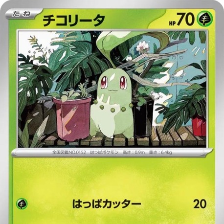Chikorita