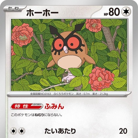 Hoothoot