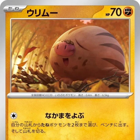 Swinub