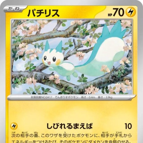 Pachirisu