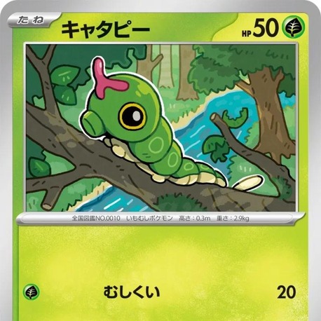 Caterpie