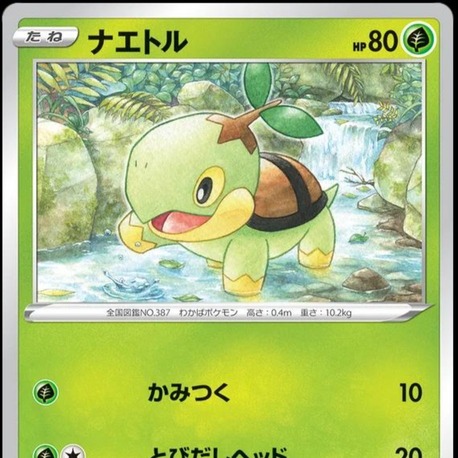 Turtwig