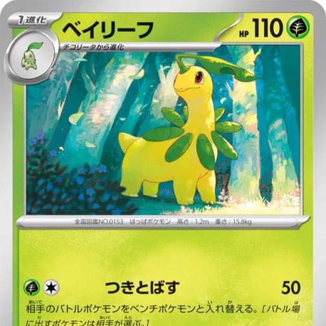 Bayleef