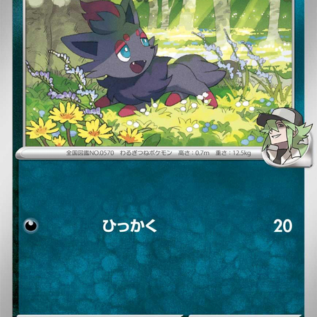 N’s Zorua