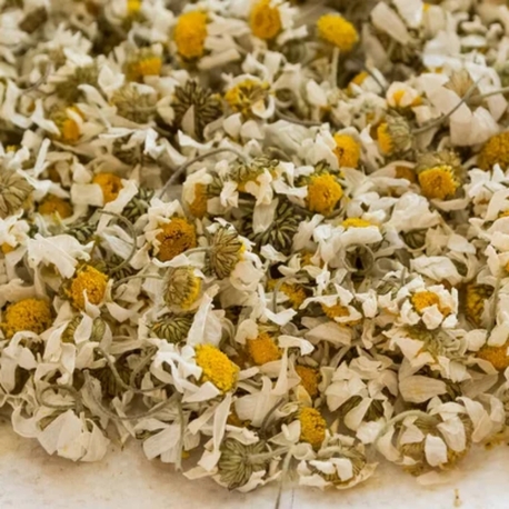papatya 100 gr