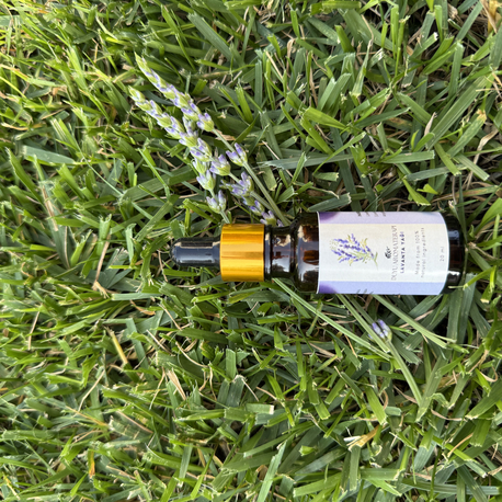 Lavanta Yağı (Lavandula Angustifolia) 20 ML