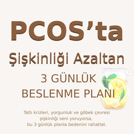 PKOS 3 Günde Şişkinlik Ve Ödem Atıcı Detoks