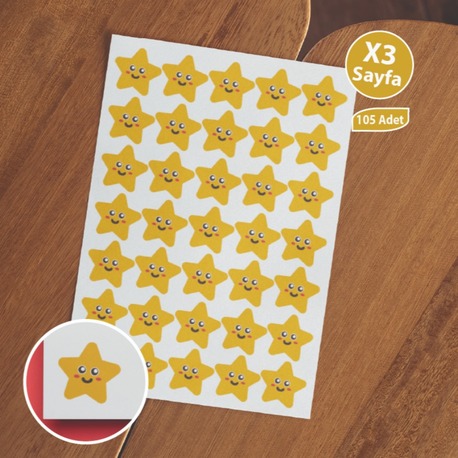 Yıldız Gülen Surat Öğretmen Tebrik Sticker Etiketi 105 Adet