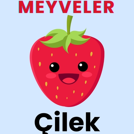 Eğitici Kartlar – Keşfet, Öğren, Eğlen!