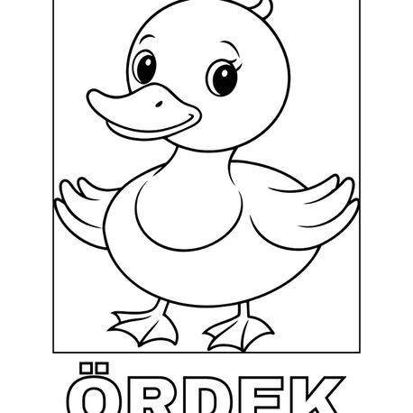  Haydi boyayalım 1 -Hayvanlar Serisi (Örnek Set)