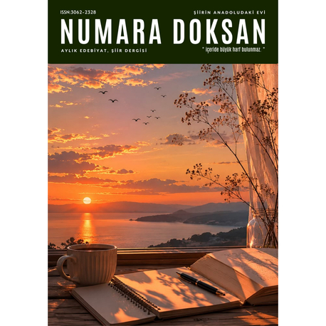 numara doksan 42