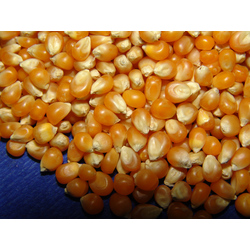 Doğal Patlak Mısırı 500gr