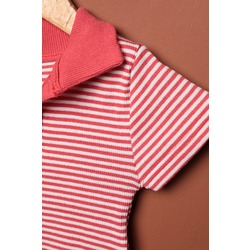 Kaşkorse Kumaş Polo Yaka Çizgili Kadın Crop-Kırmızı