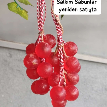 Salkım sabun