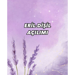 ERİL-DİŞİL AÇILIMI