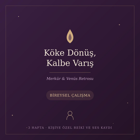 "Köke Dönüş, Kalbe Varış" (Bireysel Çalışma)