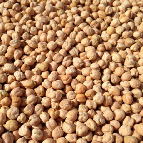 Nohut (1 kg)